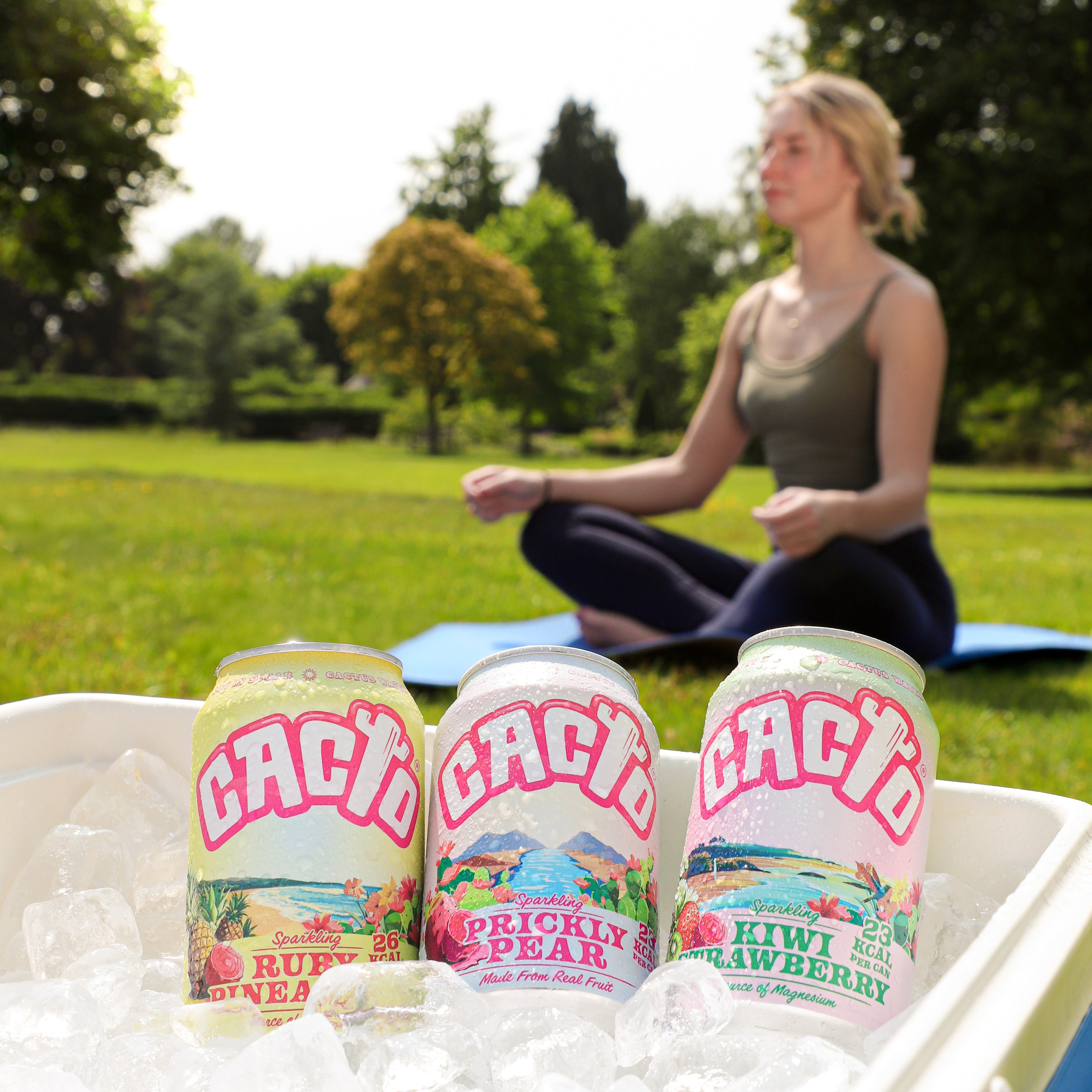 Cacto - Ultimate Refreshment Mix Pack